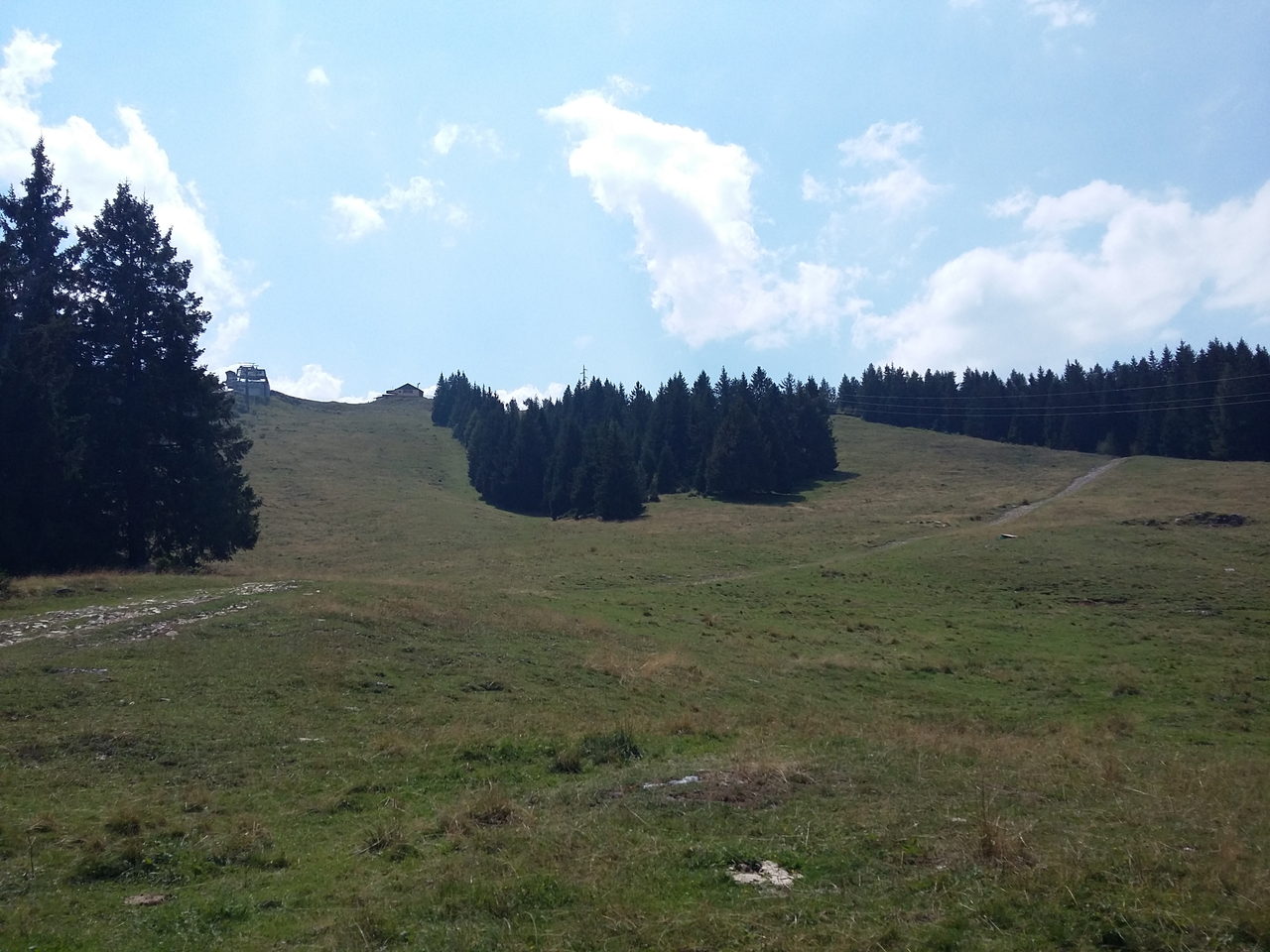 La cima del Monte Altissimo che emerge sopra i boschi di conifere, con le pareti rocciose in vista.