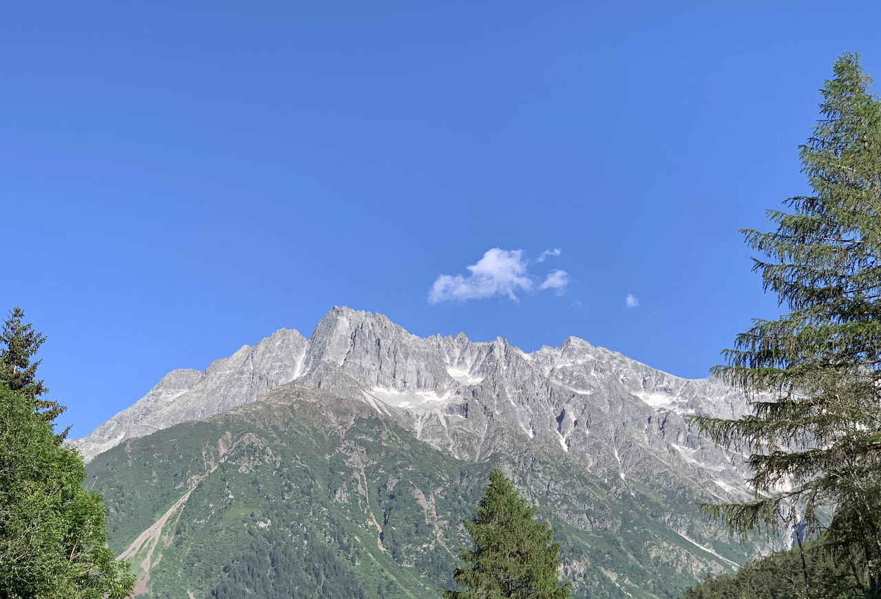 La cima dell'Adamello vista da Ponte di Legno, con le pareti rocciose sopra i boschi di conifere e il cielo sereno.