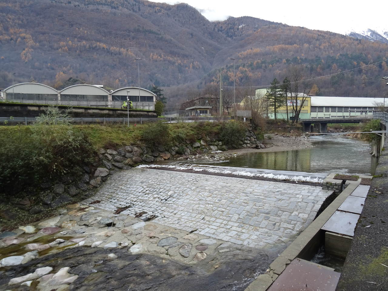 Il fiume Oglio a Forno Allione, con una briglia trasversale al corso d'acqua, la vegetazione delle sponde e i versanti della valle alle spalle.