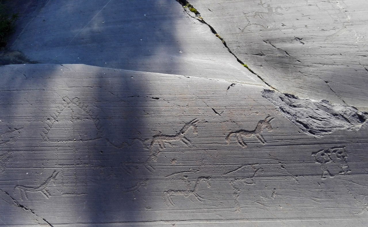 Figure di cavalli e cavalieri incise sulla superficie levigata della roccia 35 del parco di Naquane.