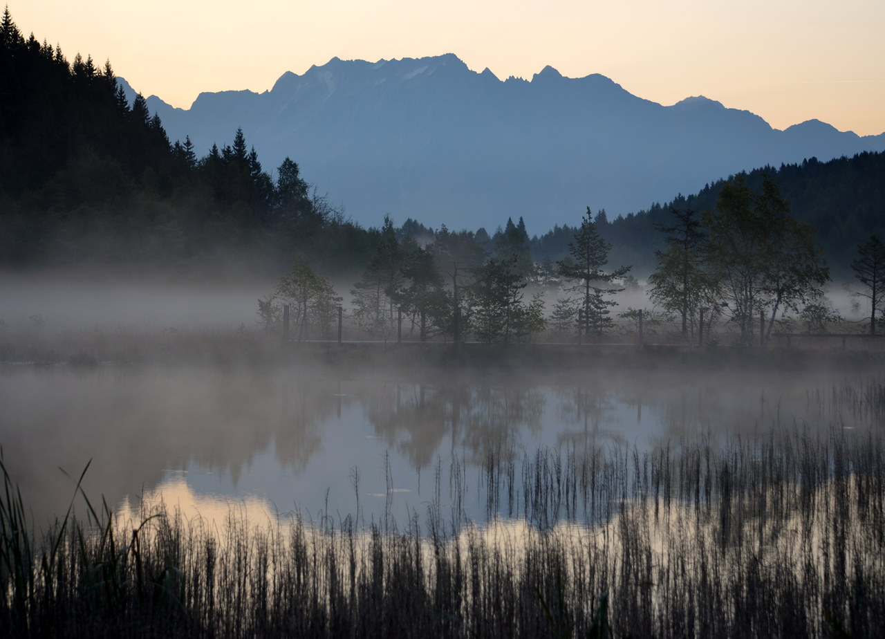 La torbiera di Pian di Gembro all'alba, con la nebbia sospesa sullo specchio d'acqua, i canneti in primo piano e le montagne in controluce.