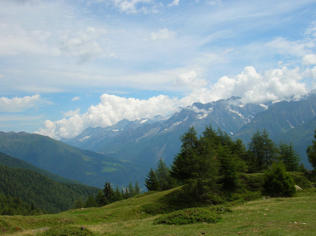 Un dosso erboso in quota, punteggiato di conifere, sopra il solco vallivo che prosegue verso le cime del fondo.