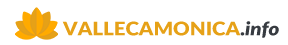 vallecamonica.info logo